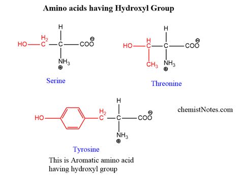 Classification of Amino acids - Chemistry Notes