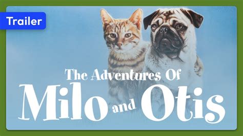 The Adventures Of Milo And Otis