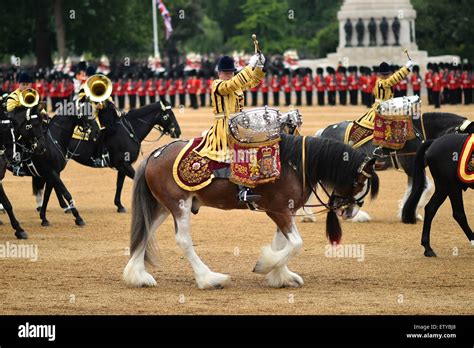 British military Guard of Honor during the annual Trooping the Colour parade marking the ...