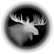3D Grayscale Graphics for Laser Engraving | Outdoor Laser Carving Graphics