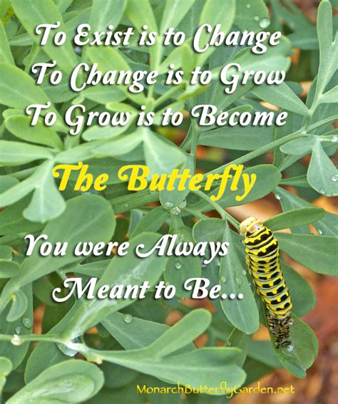 Caterpillar To Butterfly Quotes. QuotesGram