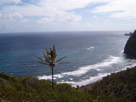 Black Sand Beach... Big Island Hawaii. This beach was gorgeous! | Big island hawaii, Travel ...