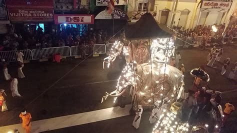 One from this year's Perahera : srilanka