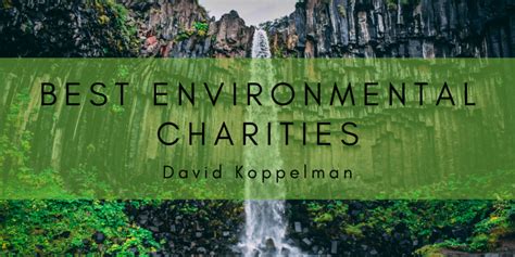 Best Environmental Charities | David Koppelman | Philanthropy