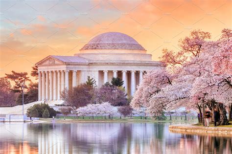 Jefferson Memorial during the Cherry Blossom Festival | High-Quality Architecture Stock Photos ...