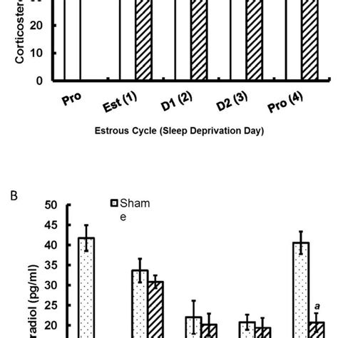 Stages of the estrus cycle and changes in serum (A) estradiol and (B)... | Download Scientific ...