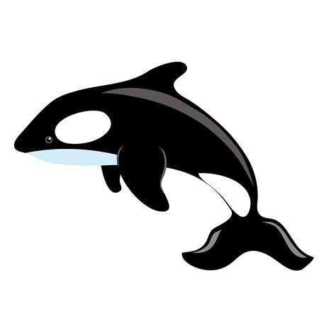 Killer whale Blue whale Clip art - Whale jumping vector material png ...