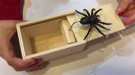 Wood Puzzles Diy, Wood Puzzle Box, Diy Crafts Hacks, Diy And Crafts, Wood Spider, Homemade Bird ...