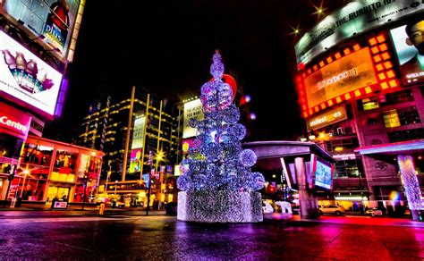 Wallpaper : Christmas, holiday, tree, street, night, area 2560x1580 ...