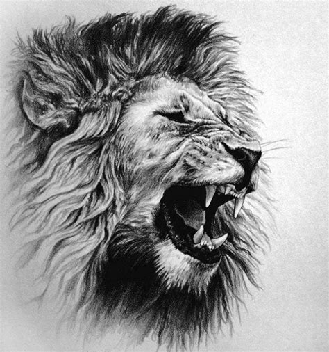 Pin by Marc Nocera on Yo | Mens lion tattoo, Lion tattoo, Lion sketch