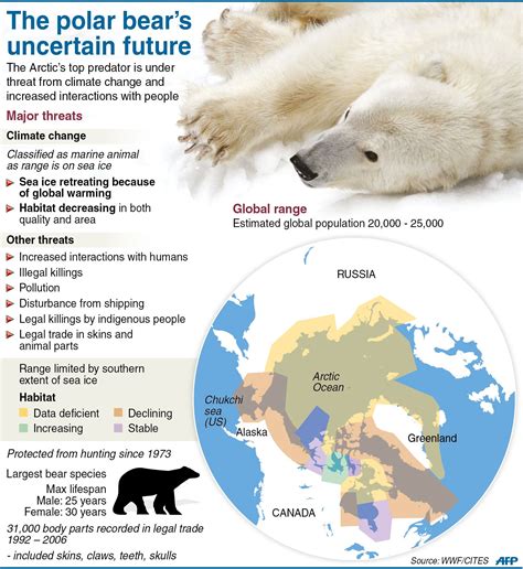 Graphic fact file on polar bears. A major meeting of governments on threats to endangered ...