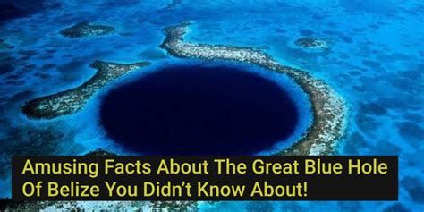 Amusing Facts About The Great Blue Hole Of Belize You Didn’t Know About ...