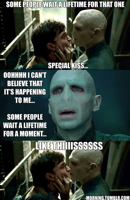 Voldemort Funnies! - Harry Potter Photo (22097721) - Fanpop