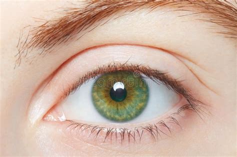 Human, Green Healthy Eye Macro Stock Photo - Image of health, eyelashes: 56860646