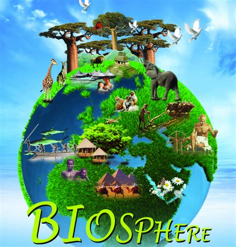 example of a biosphere – examples of biosphere for kids – Sydneycrst