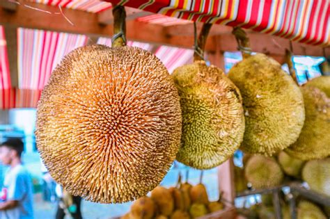 Kadayawan Durian Festival 2019 - Eat Well. Travel Often