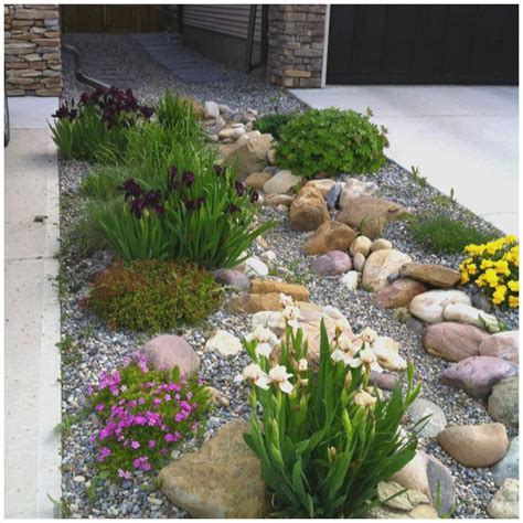 Xeriscape Rocks - DIY