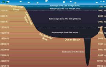 Layers of the Ocean | Physical Geography