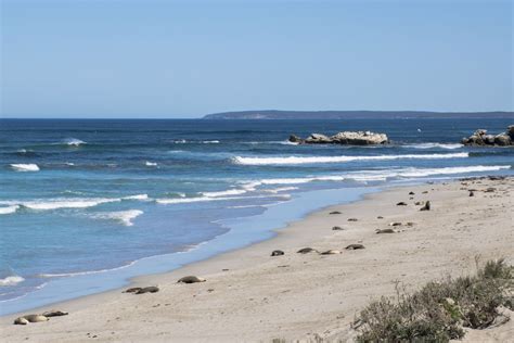 Seal Bay 3 | Outdoor, Beach, Paths