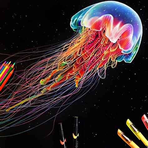 Morgan Davidson | Jellyfish drawing, Realistic drawings, Black paper drawing