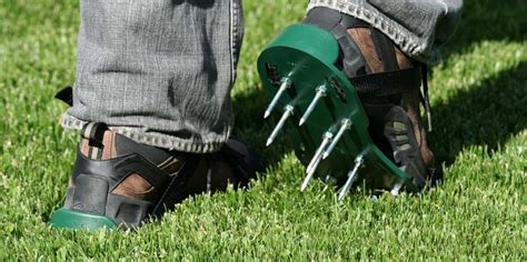 Benefits of Using Lawn Aerator Shoes | Aerate lawn, Dethatching lawn, Lawn