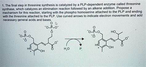 SOLVED: The final step in threonine synthesis is catalyzed by PLP-dependent enzyme called ...