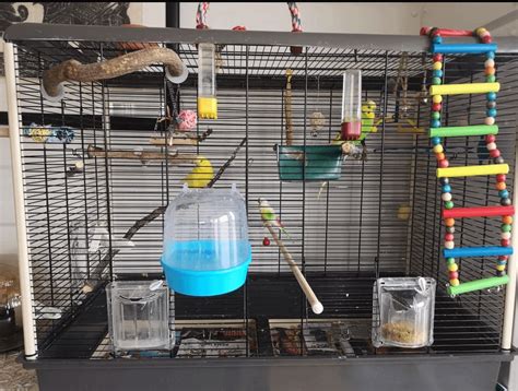 Budgie cage : r/budgies