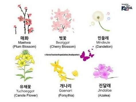 Korean Phrases, Korean Words, Korean Name, Korea Language, Korean ...