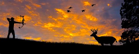 coole jagdtapeten,himmel,natur,tierwelt,sonnenuntergang,hirsch (#335714 ...