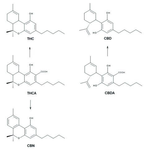 Molecular structure of tetrahydrocannabinol acid (THCA) and cannabidiol ...