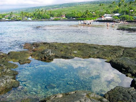 Kahaluu Beach Park Snorkeling Secrets! Guide to Big Island Snorkeling!