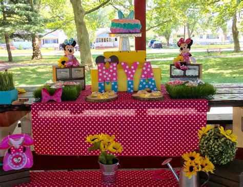 Minnie Mouse / Birthday "Mya's Picnic with Minnie" | Catch My Party