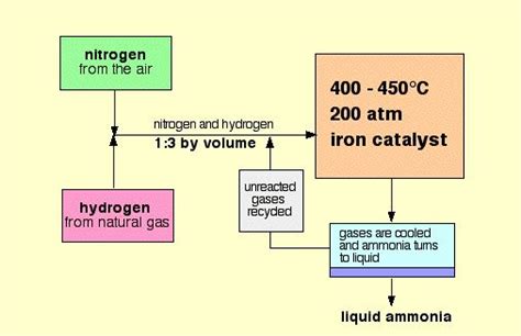 Haber Process - Dynamic Equilibrium