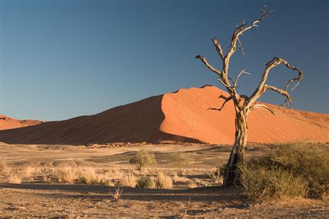 Why are deserts so dry and hot? at emaze Presentation