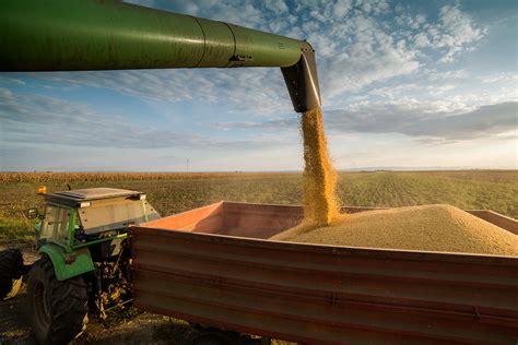 How Soybean Markets Responded to U.S.-China Trade War News - TheStreet