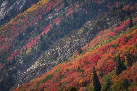 Utah Fall Colors 2012 | Clint Losee Photography