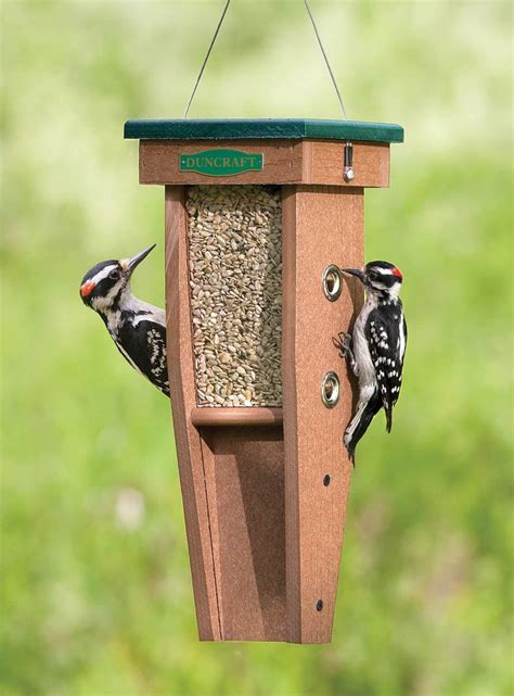 Duncraft.com: Duncraft Woodpecker Feeder | Woodpecker feeder, Bird house feeder, Wood bird feeder