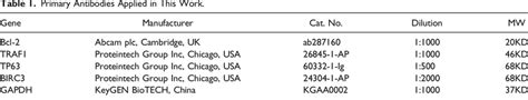 Primary Antibodies Applied in This Work. | Download Scientific Diagram