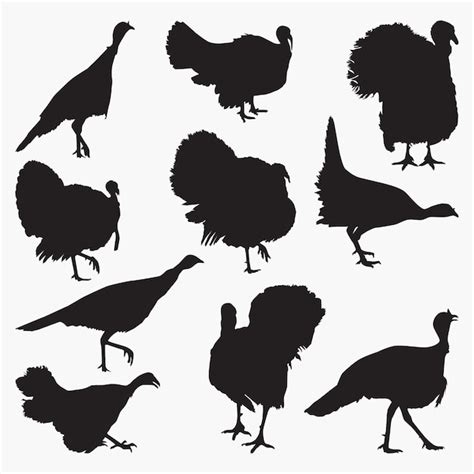 Premium Vector | Turkey silhouettes