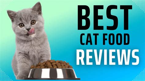 Cat Food Reviews - What You Need to Know About Your Cat’s Food