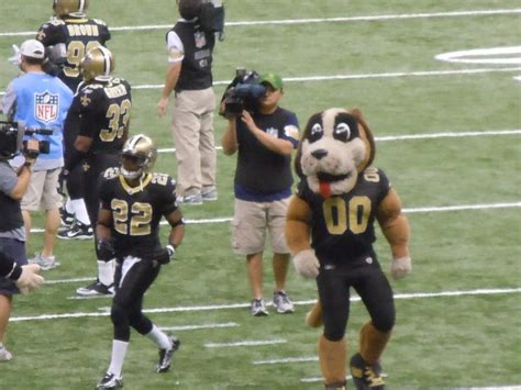 Gumbo the dog Saints Mascot | Rod | Flickr