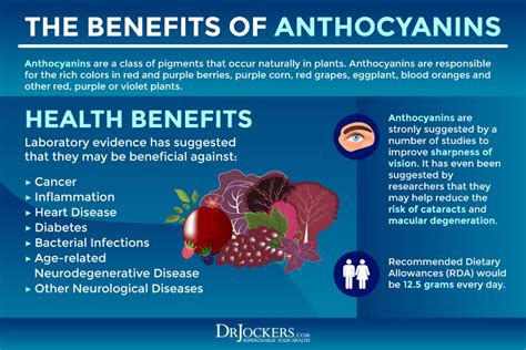 Phytonutrients: What Are They, Benefits and Sources