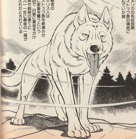 The White Wolf/Gallery | Ginga Wiki | FANDOM powered by Wikia