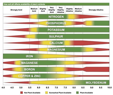 Soil Testing, Liming, and Fertilizing Wildlife Food Plots - Alabama ...