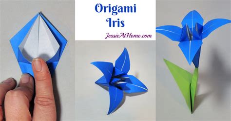 Origami Iris - A beautiful, dimensional flower that is sure to impress!