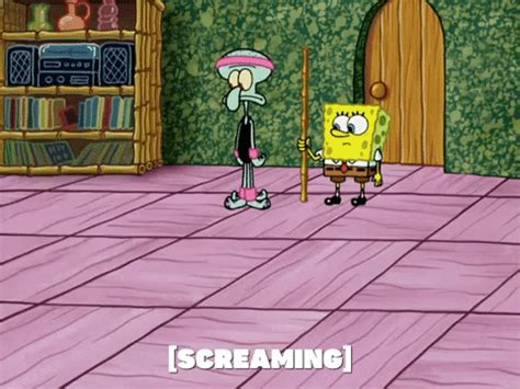 Season 5 GIF by SpongeBob SquarePants - Find & Share on GIPHY