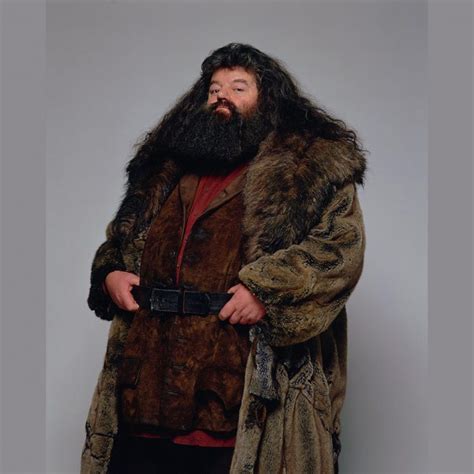 Rubeus Hagrid Costume - Harry Potter Fancy Dress