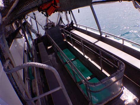 Glass Bottom Boat Tour | Michaelmas Cay