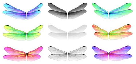 Dragonfly fairy wings by Jen Shikami of Seven's Selections… | Flickr