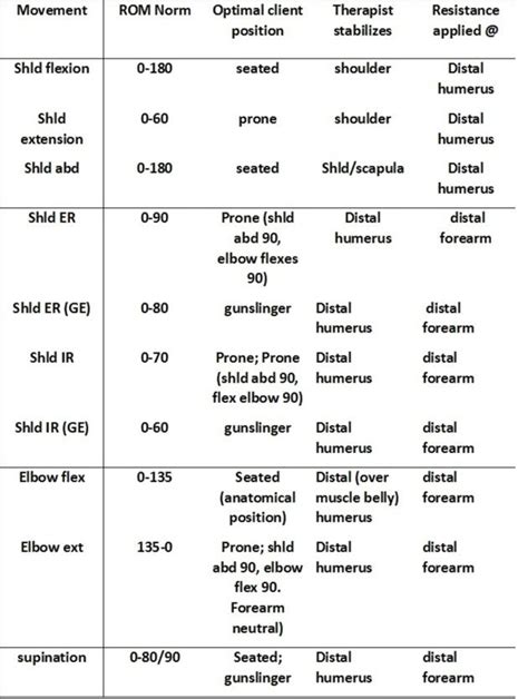 Manual Muscle Testing Physical Therapy